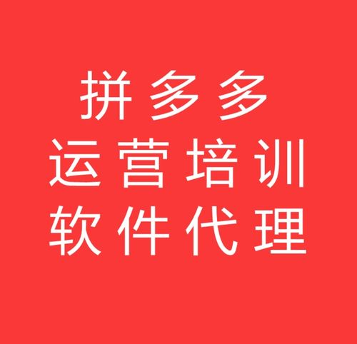 拼多多无货源电商新机遇 山东大象拼上拼软件加盟全攻略